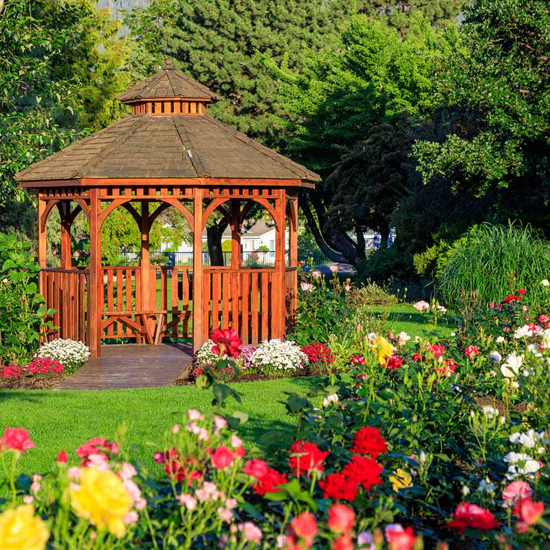 Cedar wooden gazebo at the rose garden