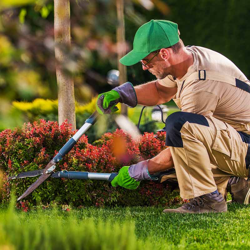 Caucasian Garden and Landscaping Services Contractor